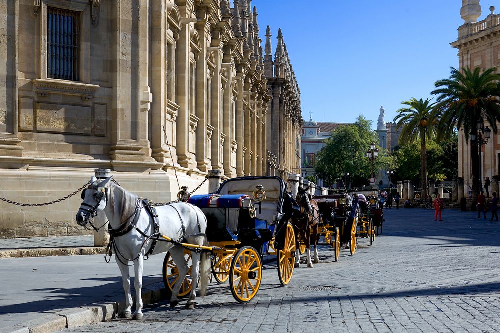 In Großstädten sind Autos heute genauso schnell wie Kutschen vor 200 Jahren, ca. 12 Stundenkilometer