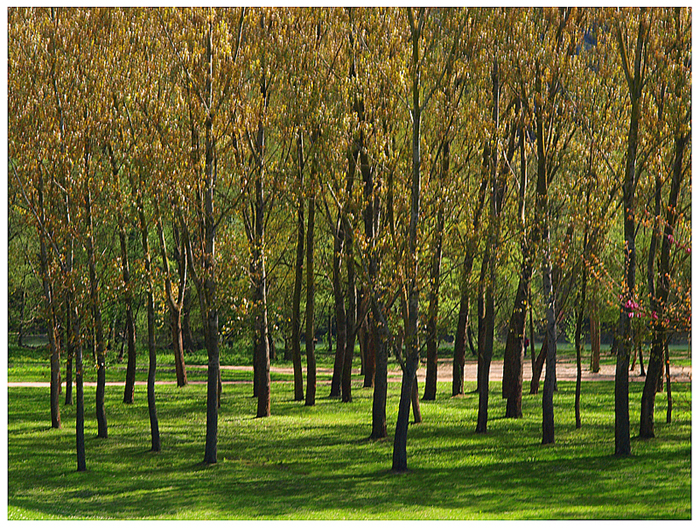 In Gruppo......bellezza della natura....uno diverso......