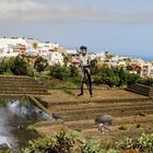 In Güimar auf Teneriffa