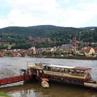 in Heidelberg am Neckarufer