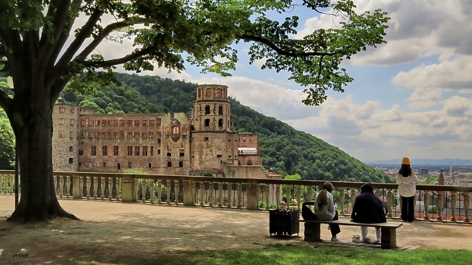 in Heidelberg