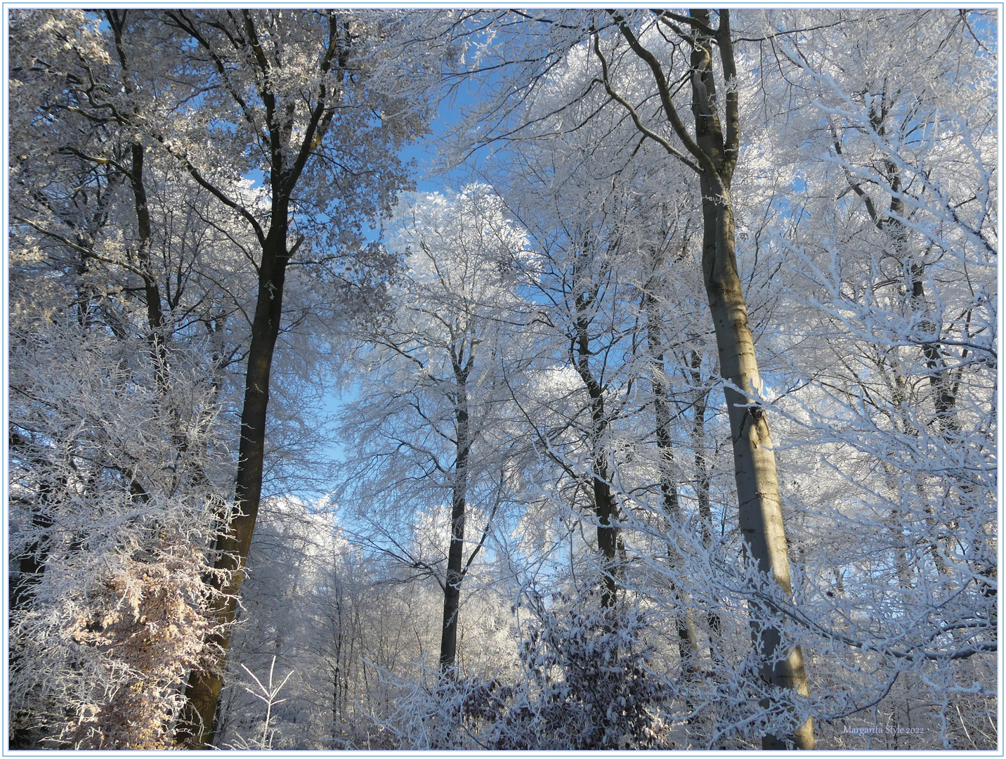 In helles Blau getaucht spitzt der Himmel zwischen den 