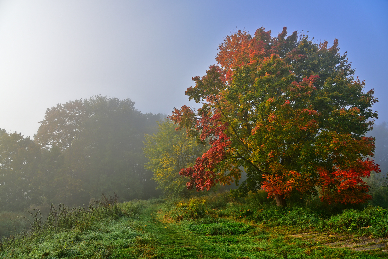 In Herbststimmung