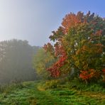 In Herbststimmung