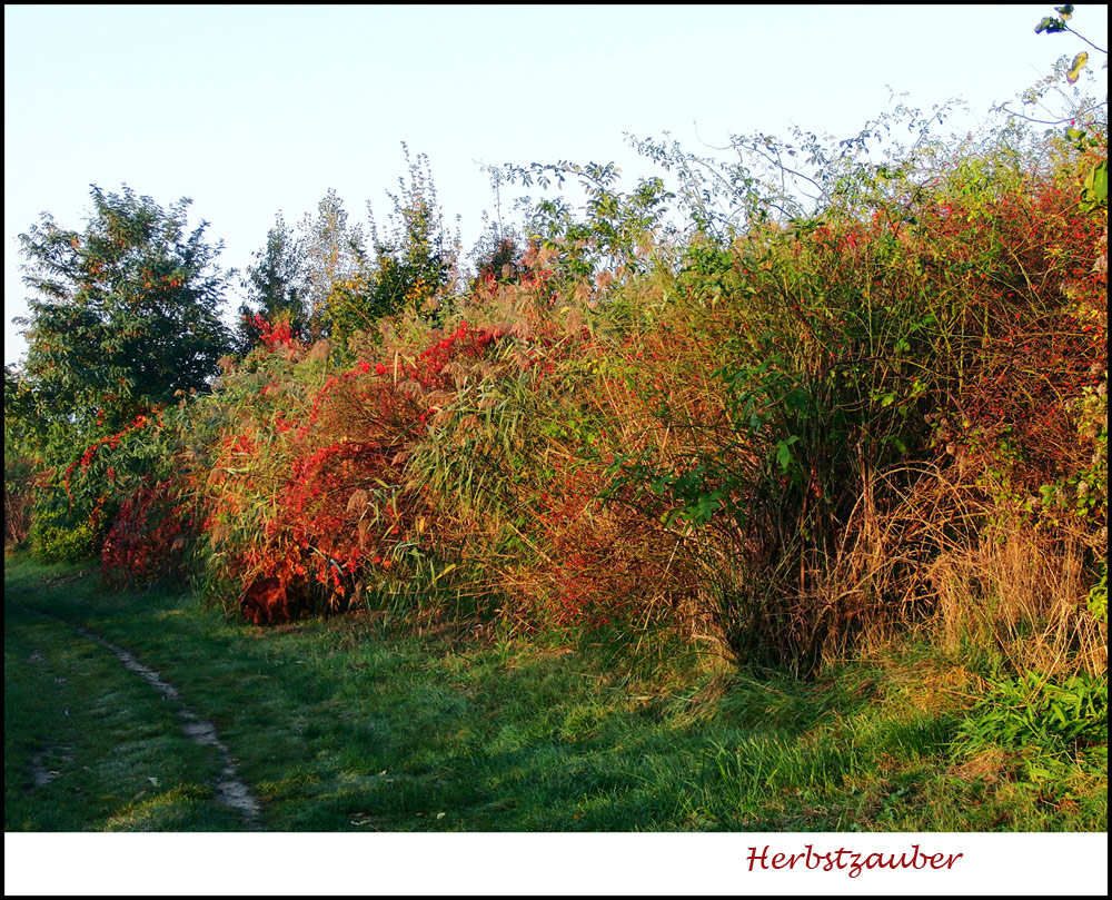 In herrlichen Farben