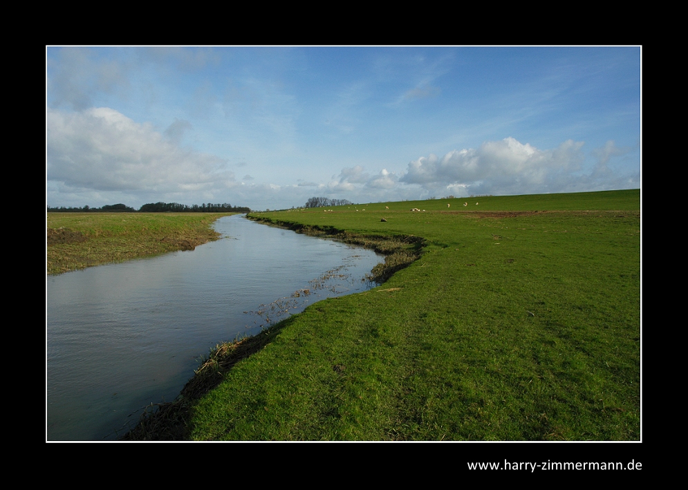 In Hetlingen an der Elbe