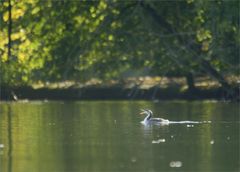 in höchster Gefahr