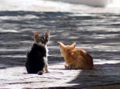 in Hora auf Patmos