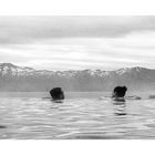 In Islands Husavik, so sechzehn Männer + Frauen - konnten sich an Wärme und Aussicht erbauen.