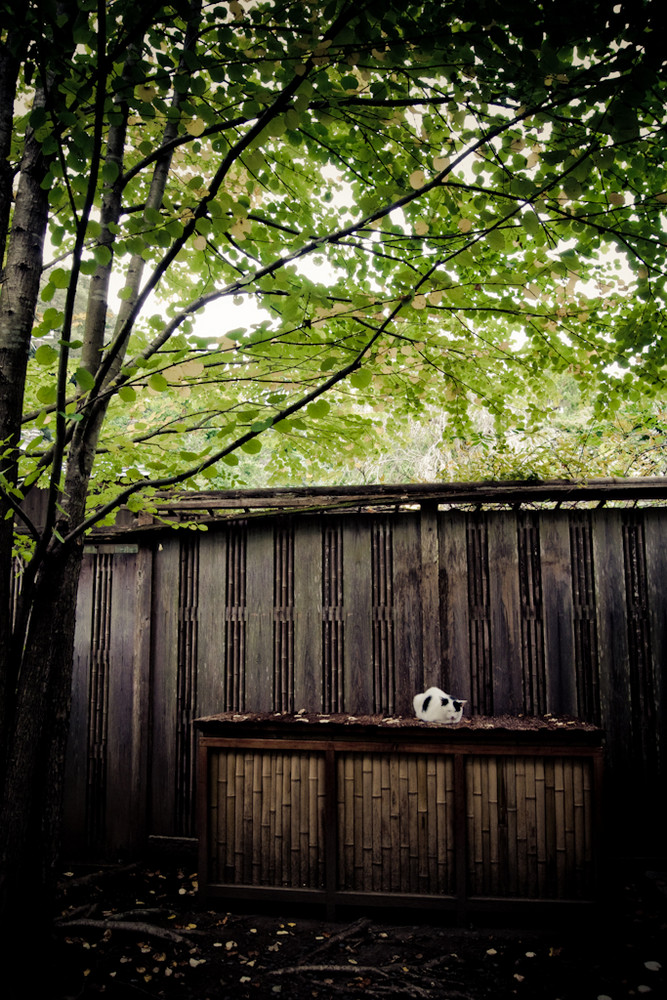 in Kamakura