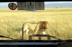 In Kenia gilt: links vor rechts.