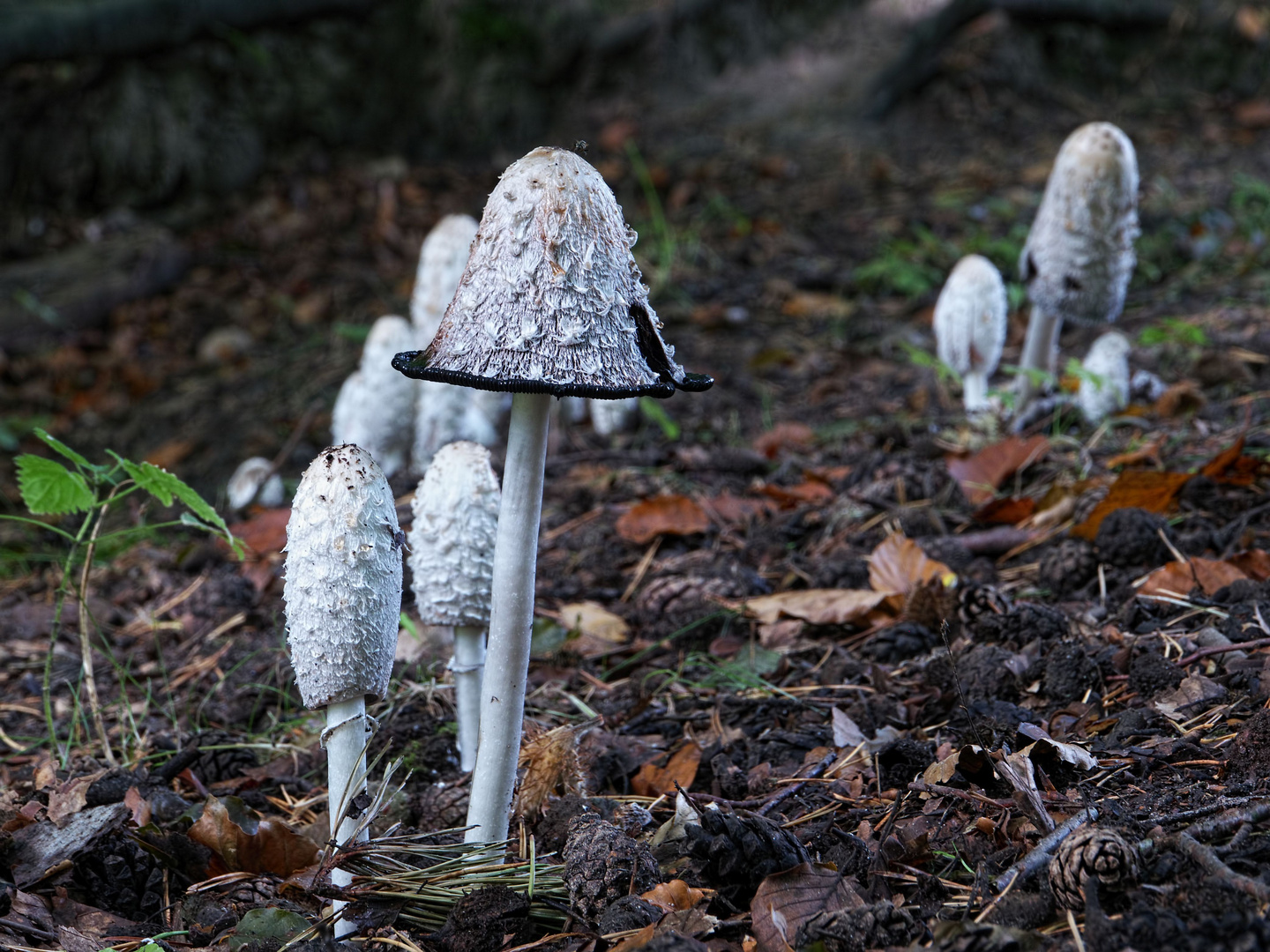 in kleinen Gruppen