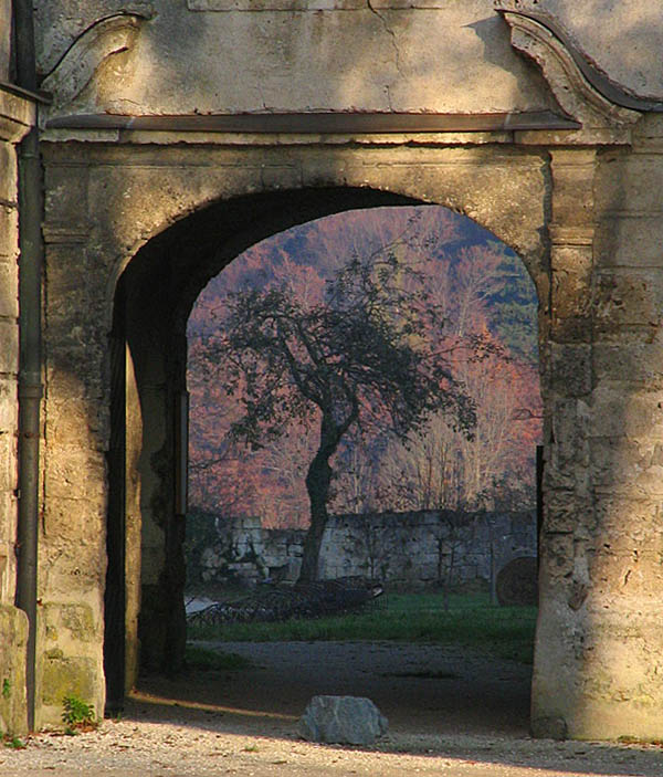 in Klostergarten einigschaut...