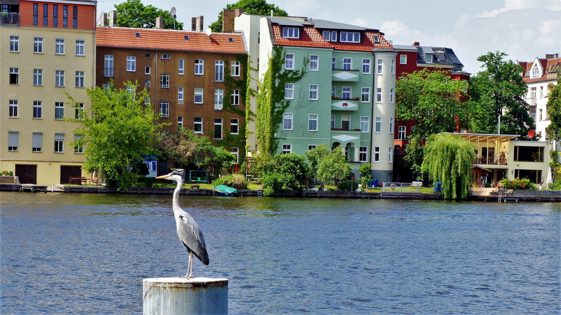 'In Köpenick bin ich zuhause.'