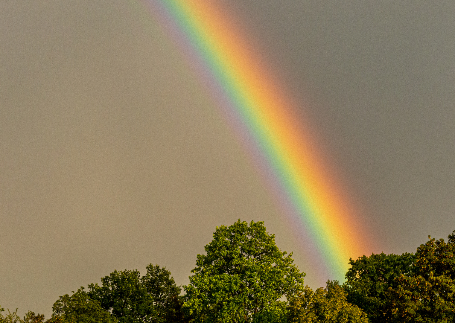 In kräftigen Farben