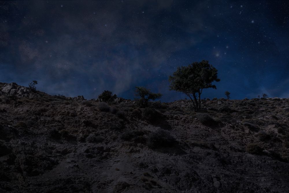 In kühler Nacht beim Mondenschein.2