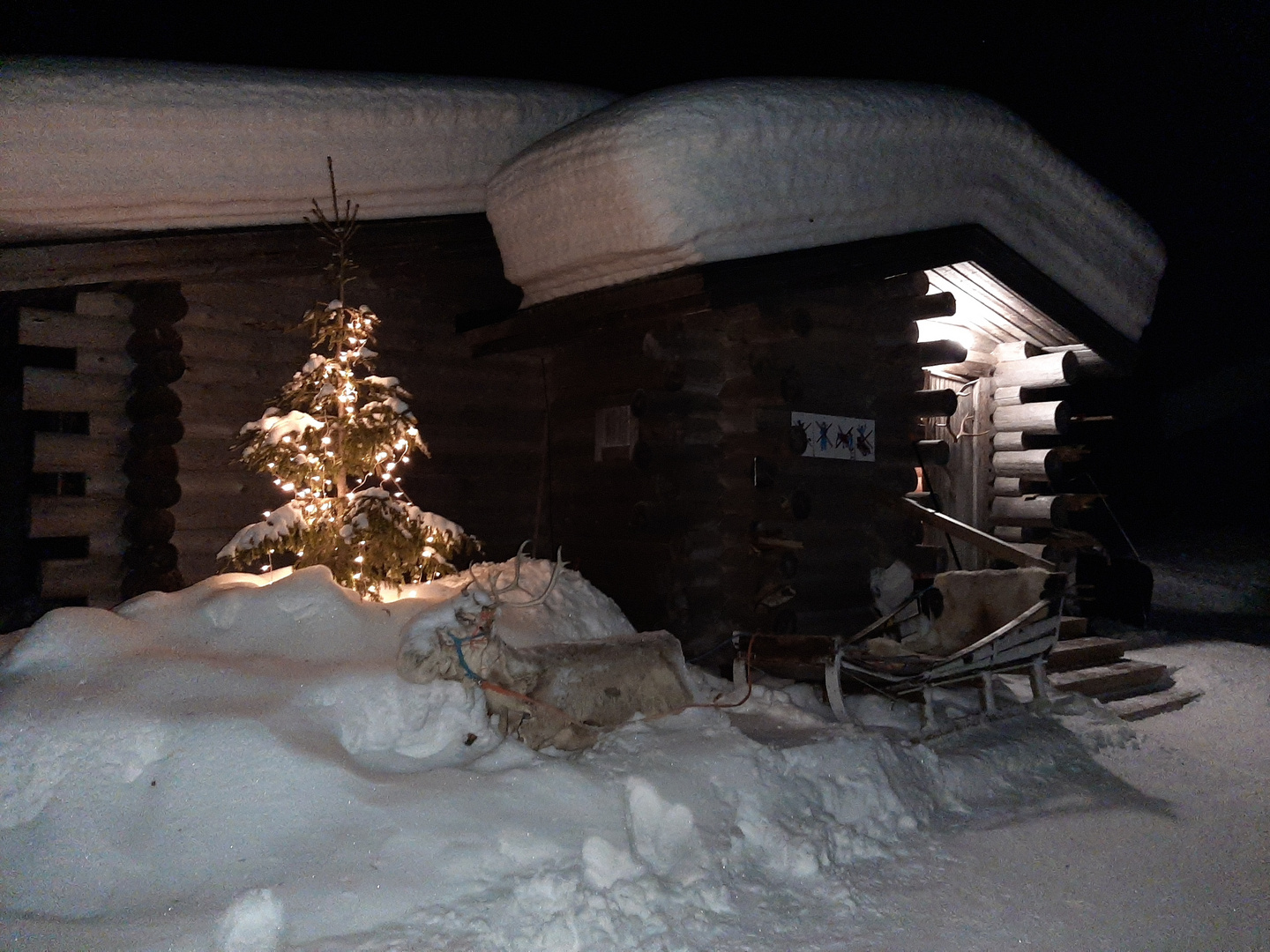 In Lappland (März 2020) - bei Rudolph's Freunden.