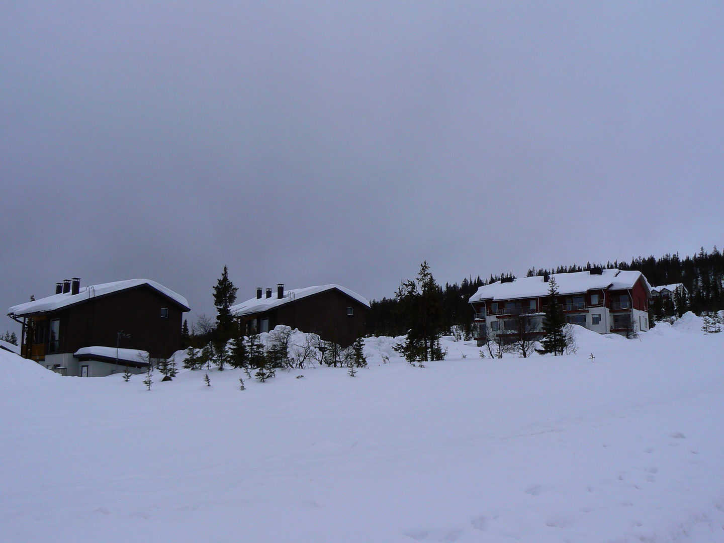 In Lappland (März 2020).