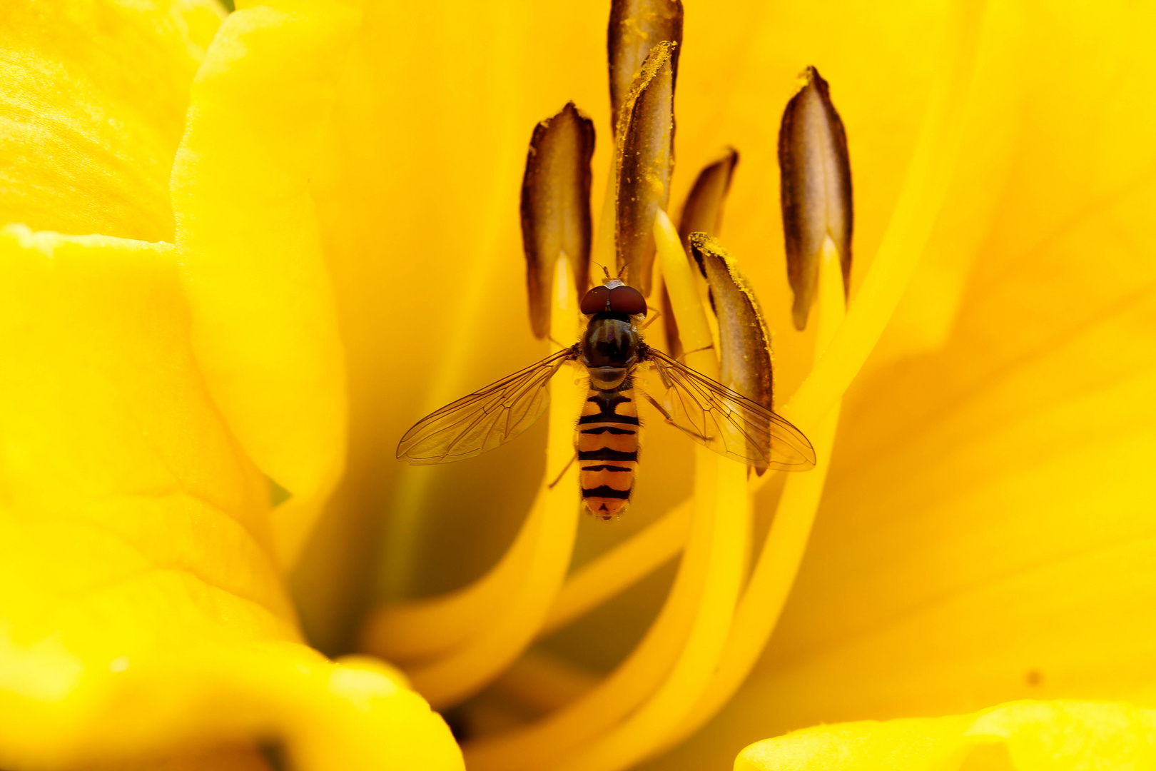 in letzen Sommer