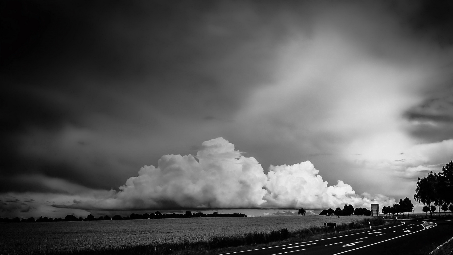 In letzten Sommer 