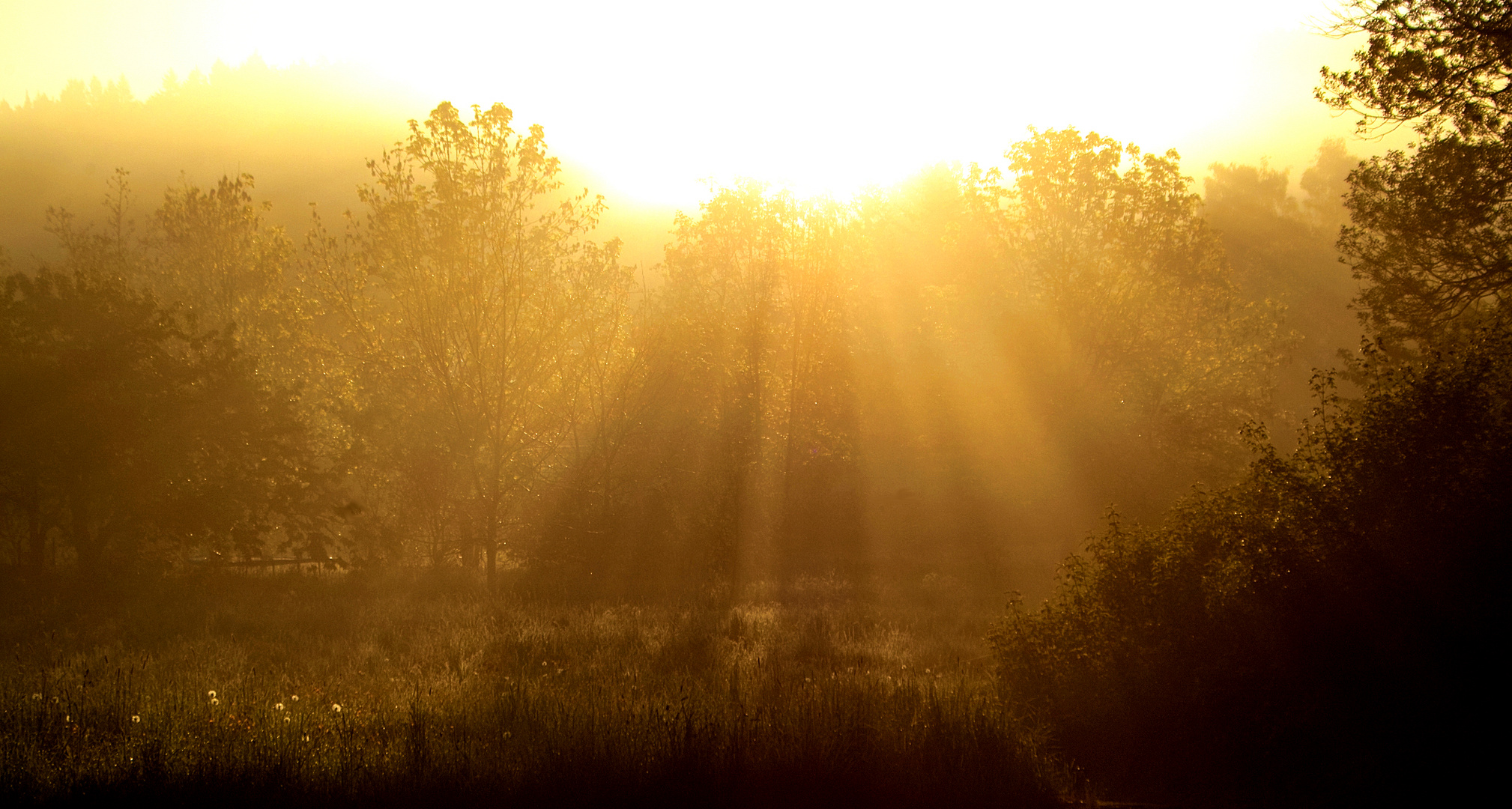 In Licht getaucht