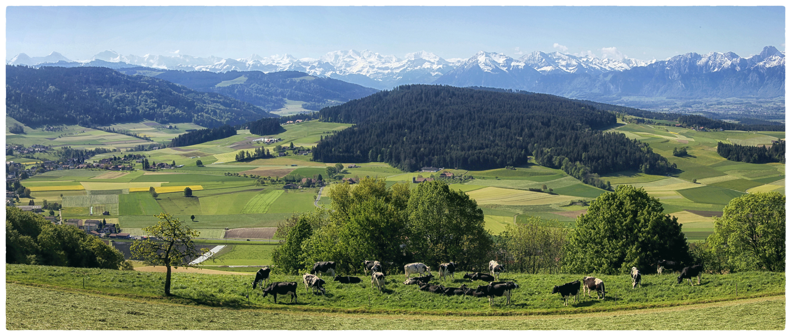 In lieblicher Landschaft gebettete Felder