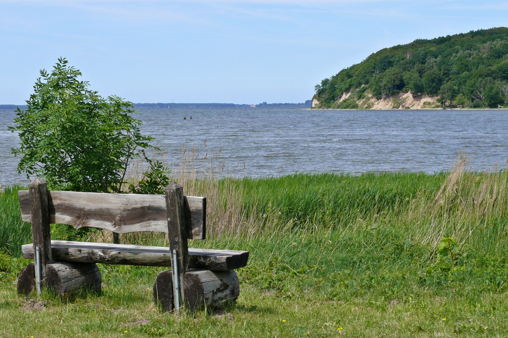 In Lietzow am Bodden