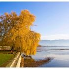 In Lindau ist noch Herbst