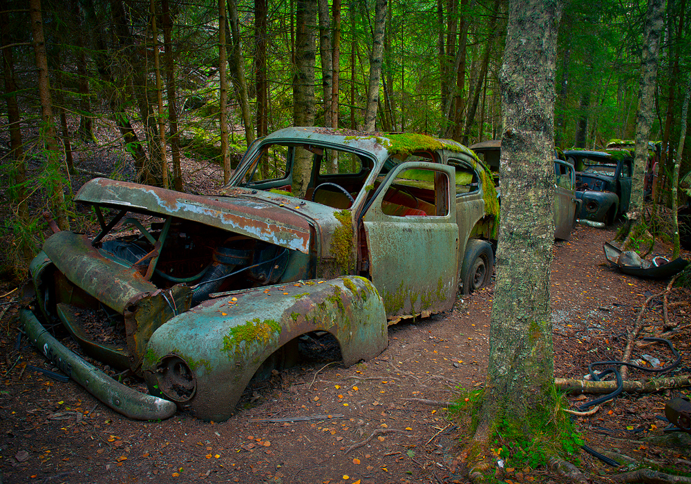 In line...waiting for....?