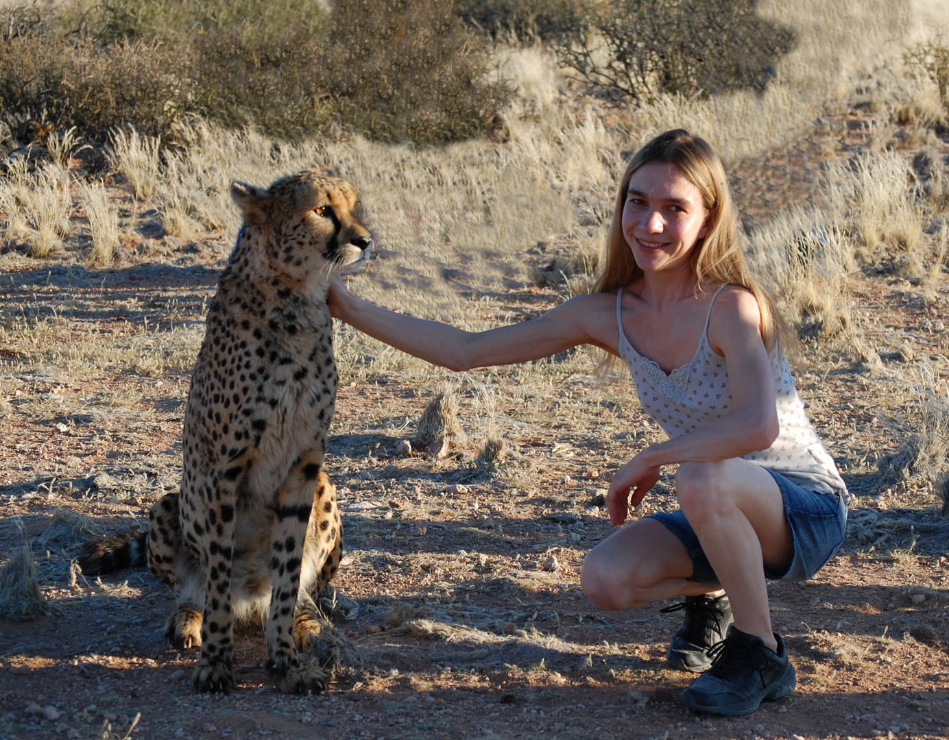 In love with the cheetah