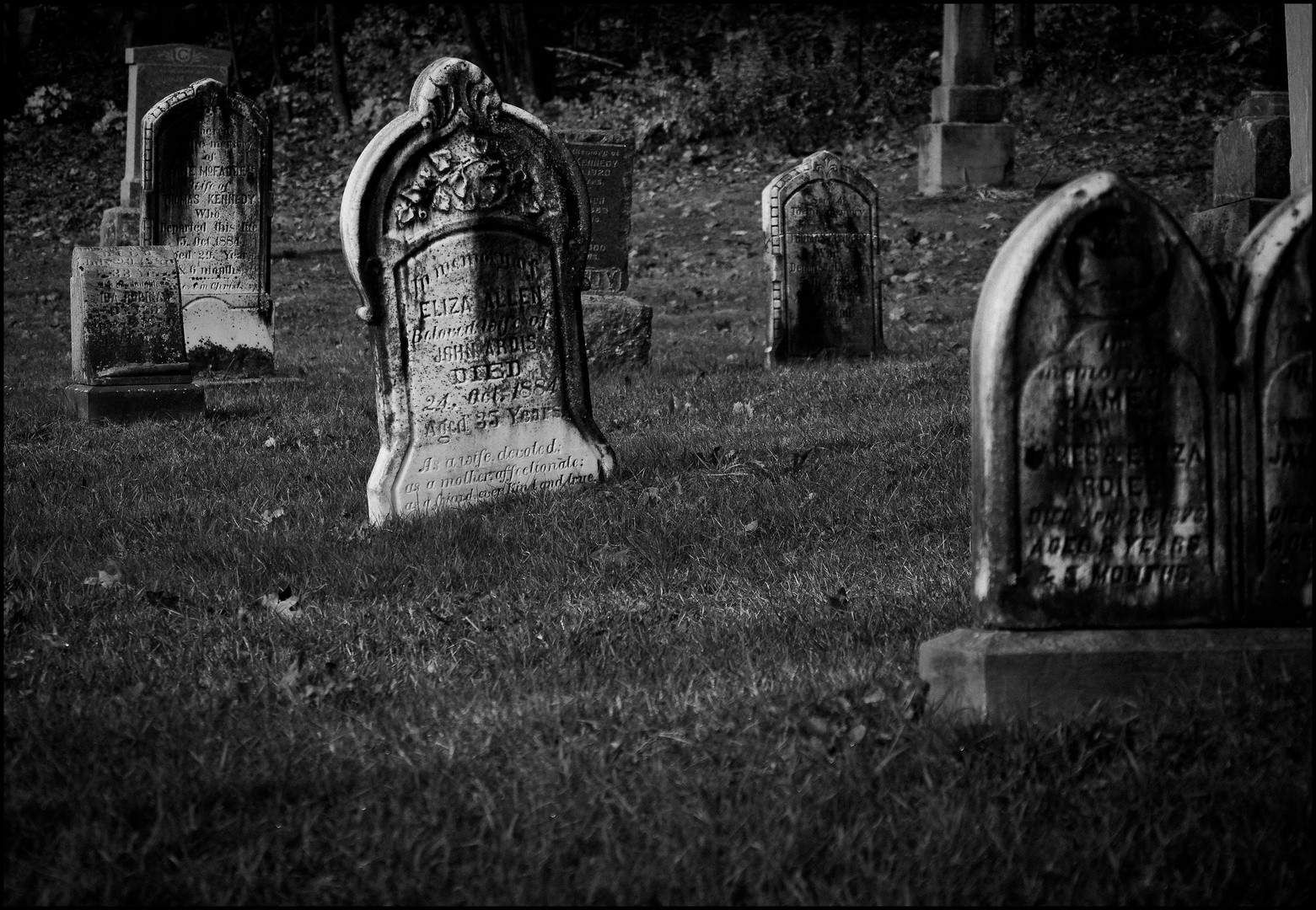 In Loving Memory Foto Bild North America Canada The East Bilder Auf Fotocommunity