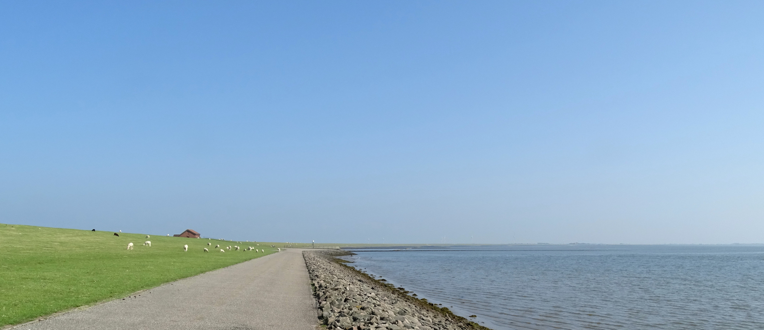 in Lüttmoorsiel an der Nordsee...