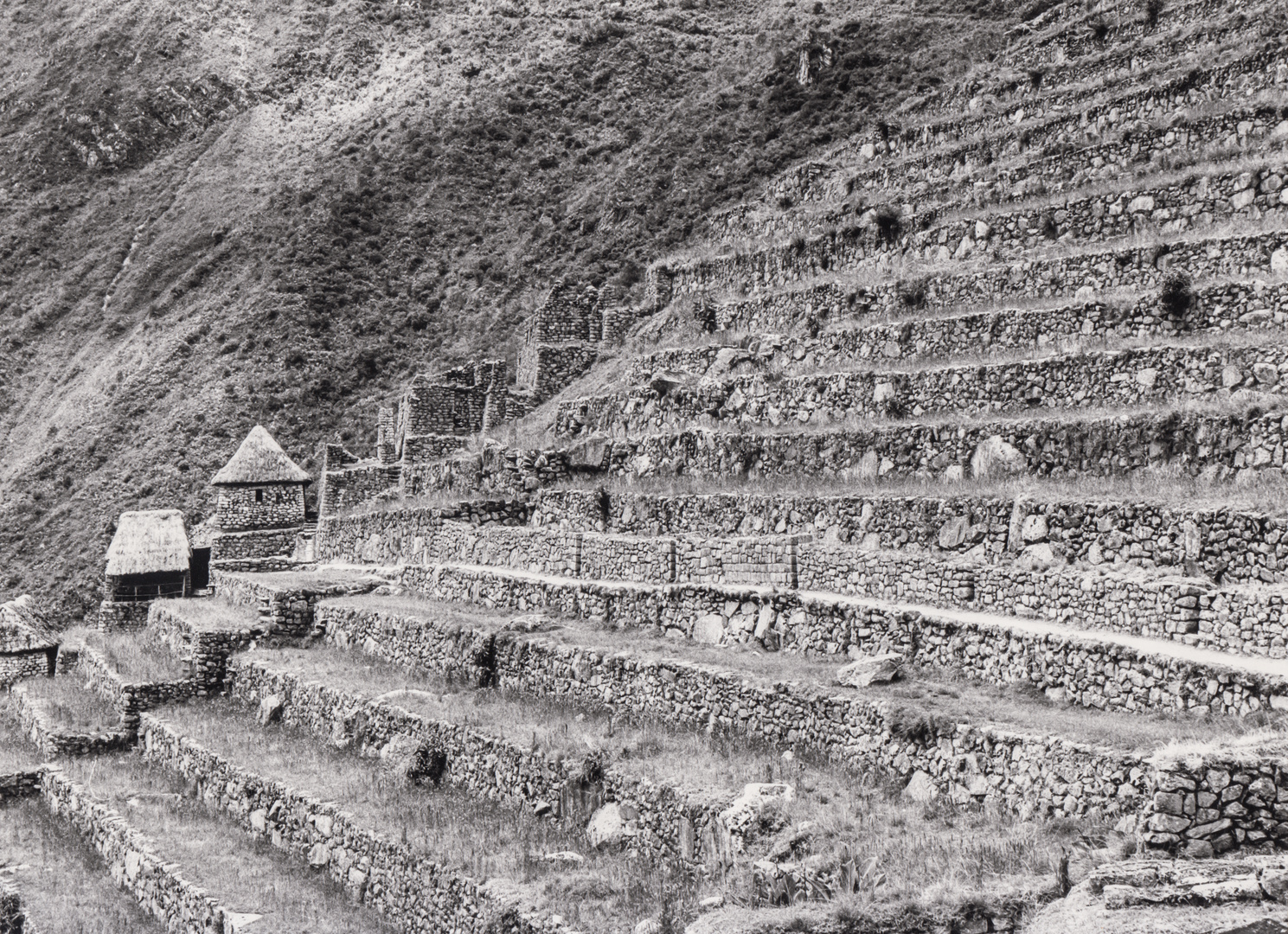 In Machu Picchu