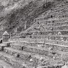 In Machu Picchu