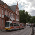 In Mainz