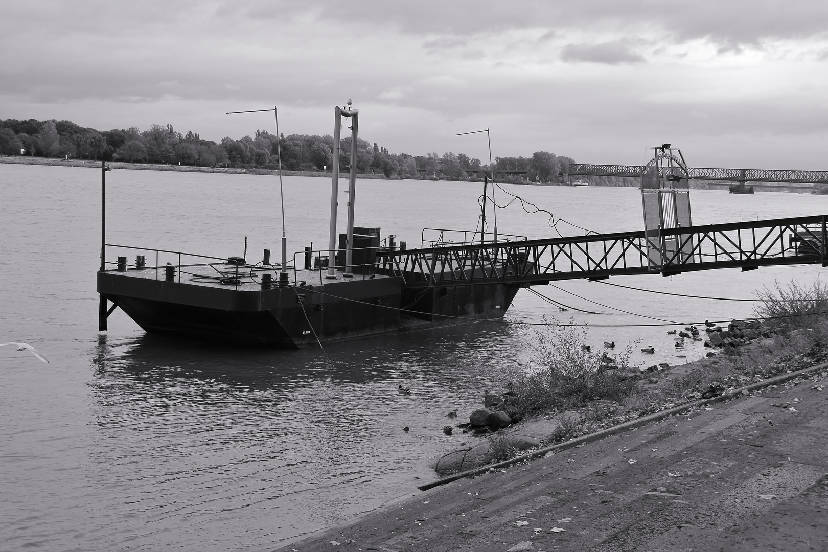 In Mainz am Rhein