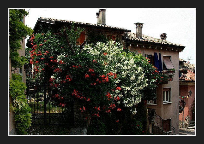 In Malcesine