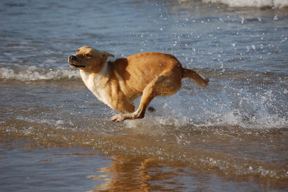 ...in Marokko am Strand