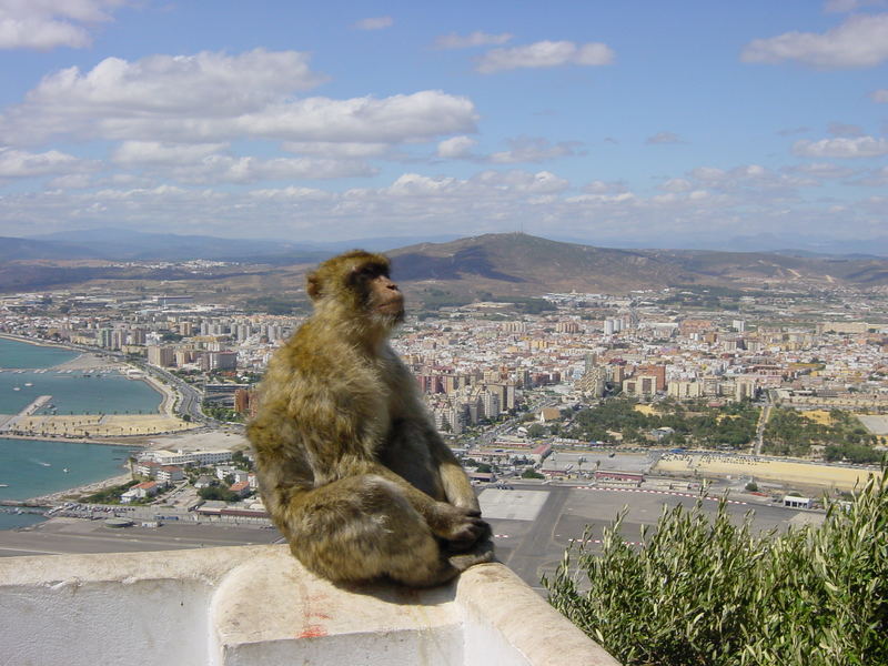 ..in meditazione...dall'alto della città