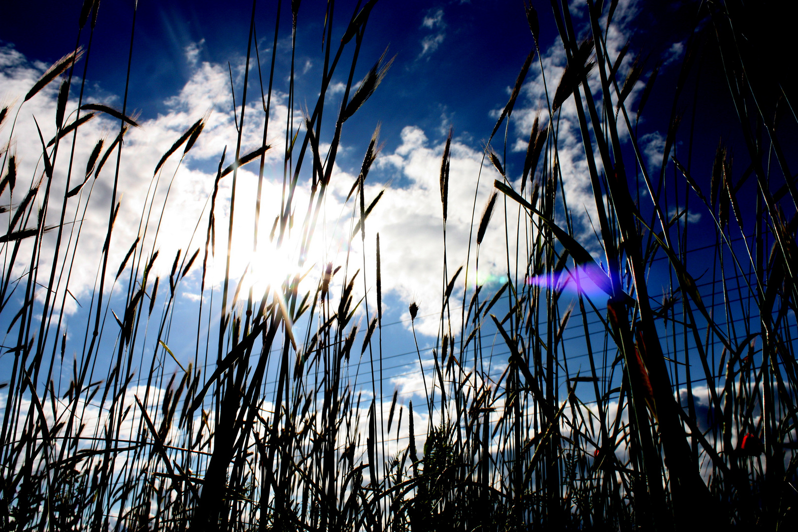 in meinem himmel