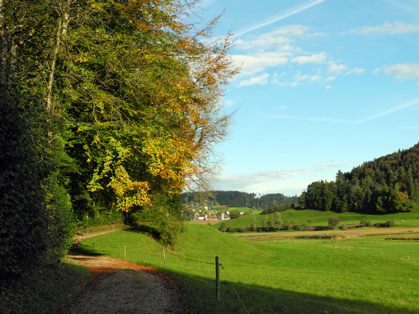 in meinen Augen die schönste Jahreszeit