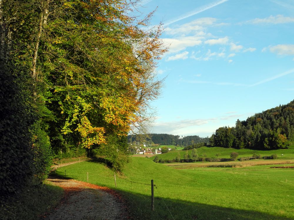 in meinen Augen die schönste Jahreszeit