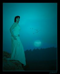 In meinen Träumen....