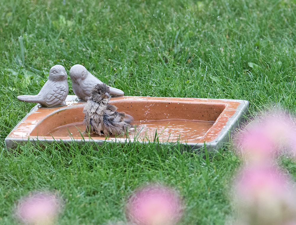 In meiner Badewanne...