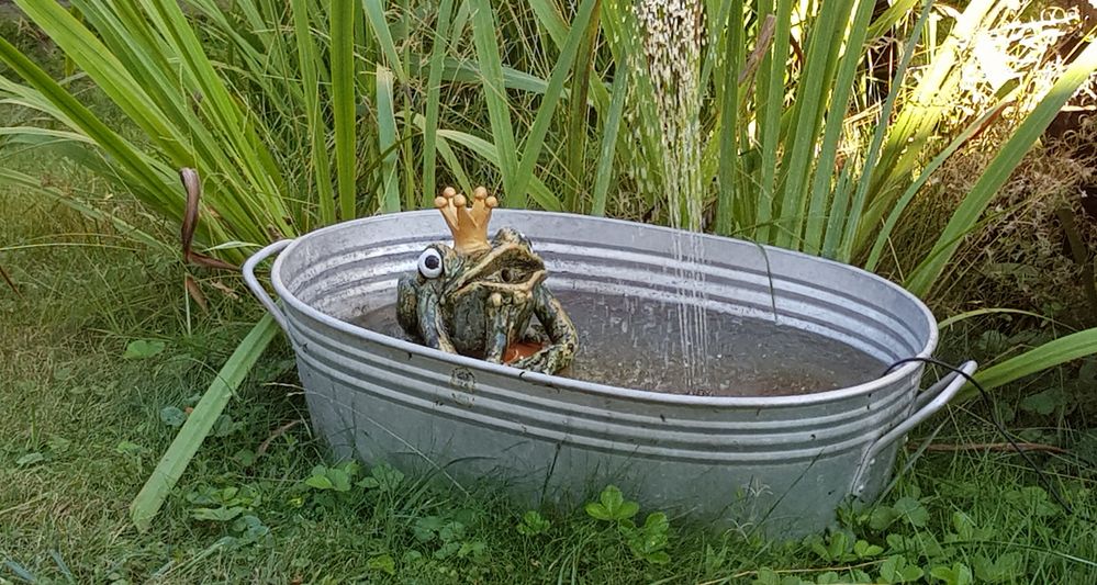 In meiner Badewanne bin ich Königin Foto & Bild bayern