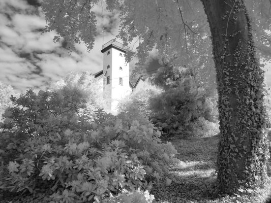 In meiner Nachbarschaft