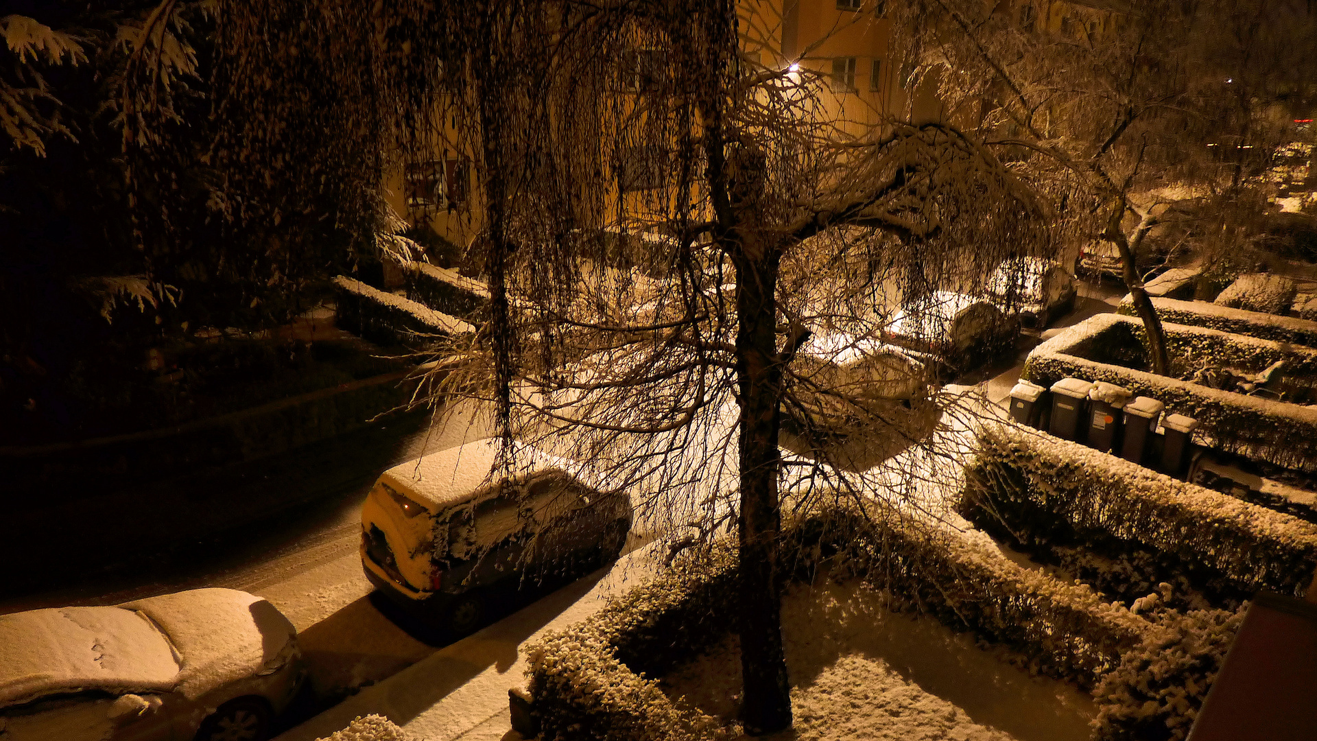 In "meiner" Straße