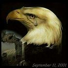 In Memorial 9 - 11