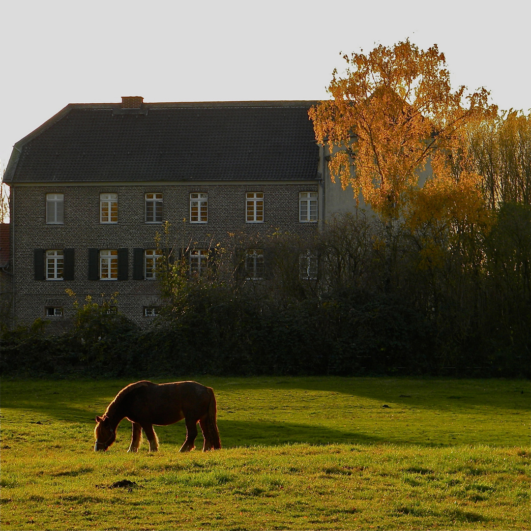 In memoriam Hanns Dieter Hüsch: NIEDERRHEINISCHER HERBST I