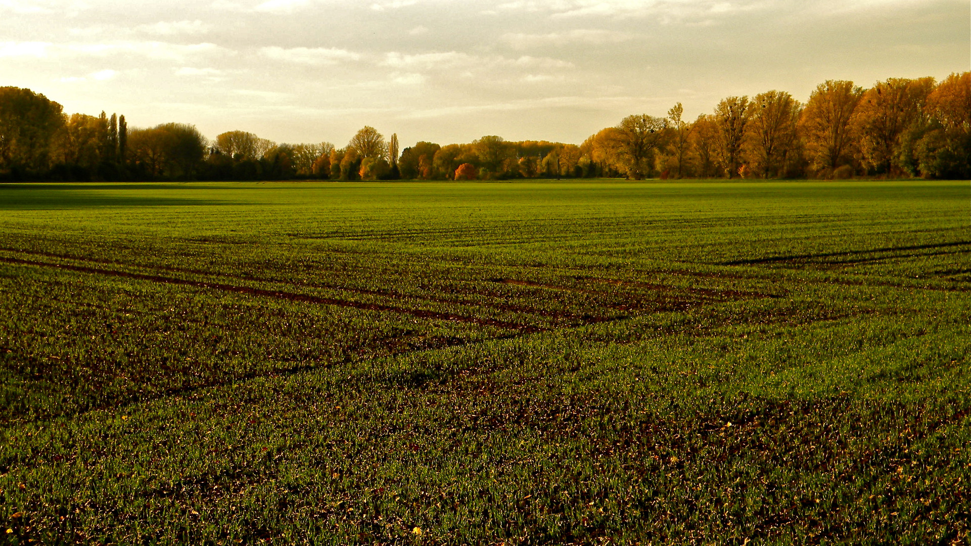 In memoriam Hanns Dieter Hüsch: NIEDERRHEINISCHER HERBST III